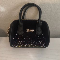 Juicy Couture Purse