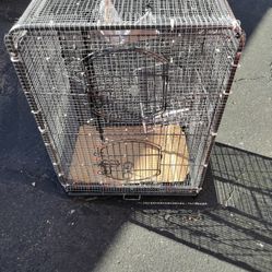 Bird/Reptile Cage 