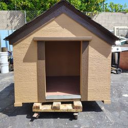 Dog House 