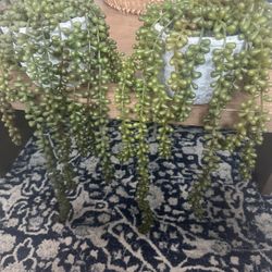 World Market Faux String Pearls In Textured Pot 