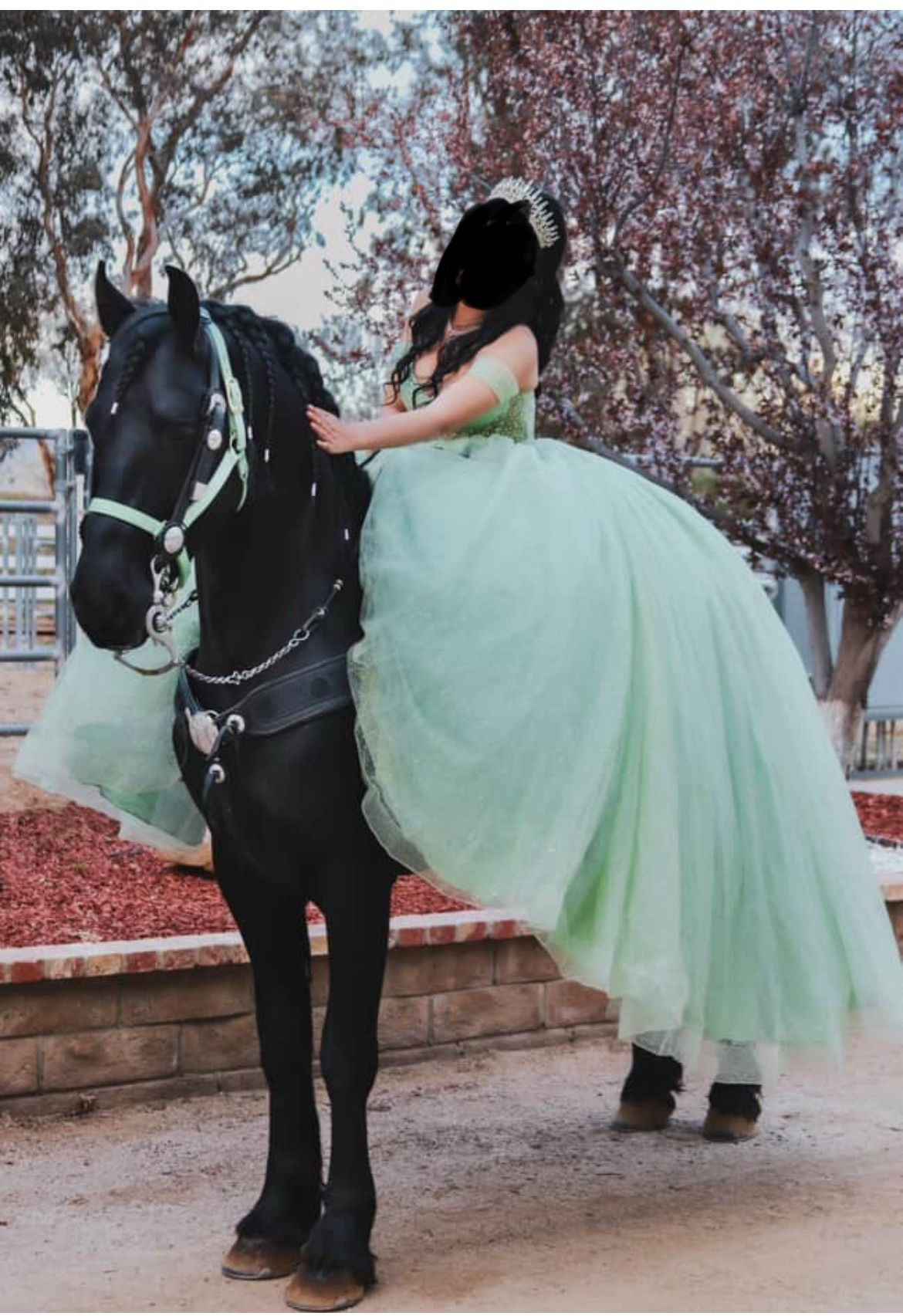 Quinceñera Dress