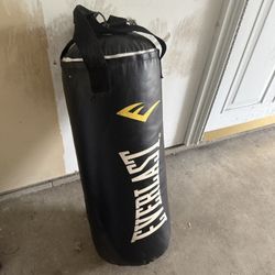 Punching Bag/gloves
