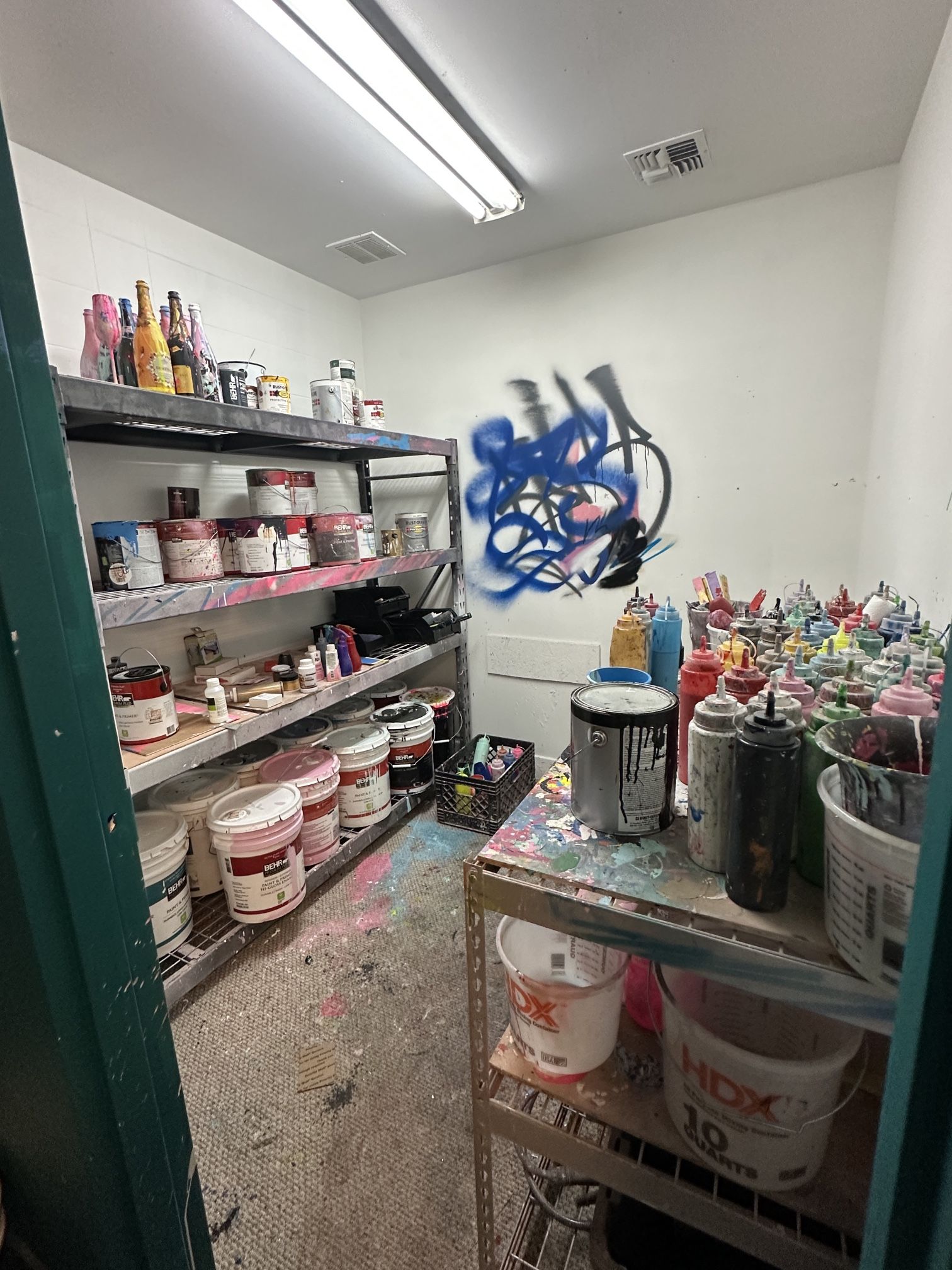 Bunch Of Paint & Primer