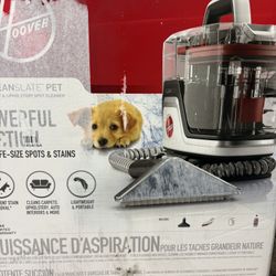 Clear Slate Pet Spot Cleaner