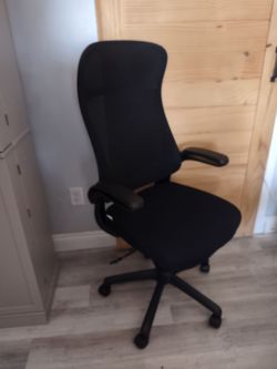 Brand New Flexispot Ergonomic office chair. Adjustable. Retail $350.