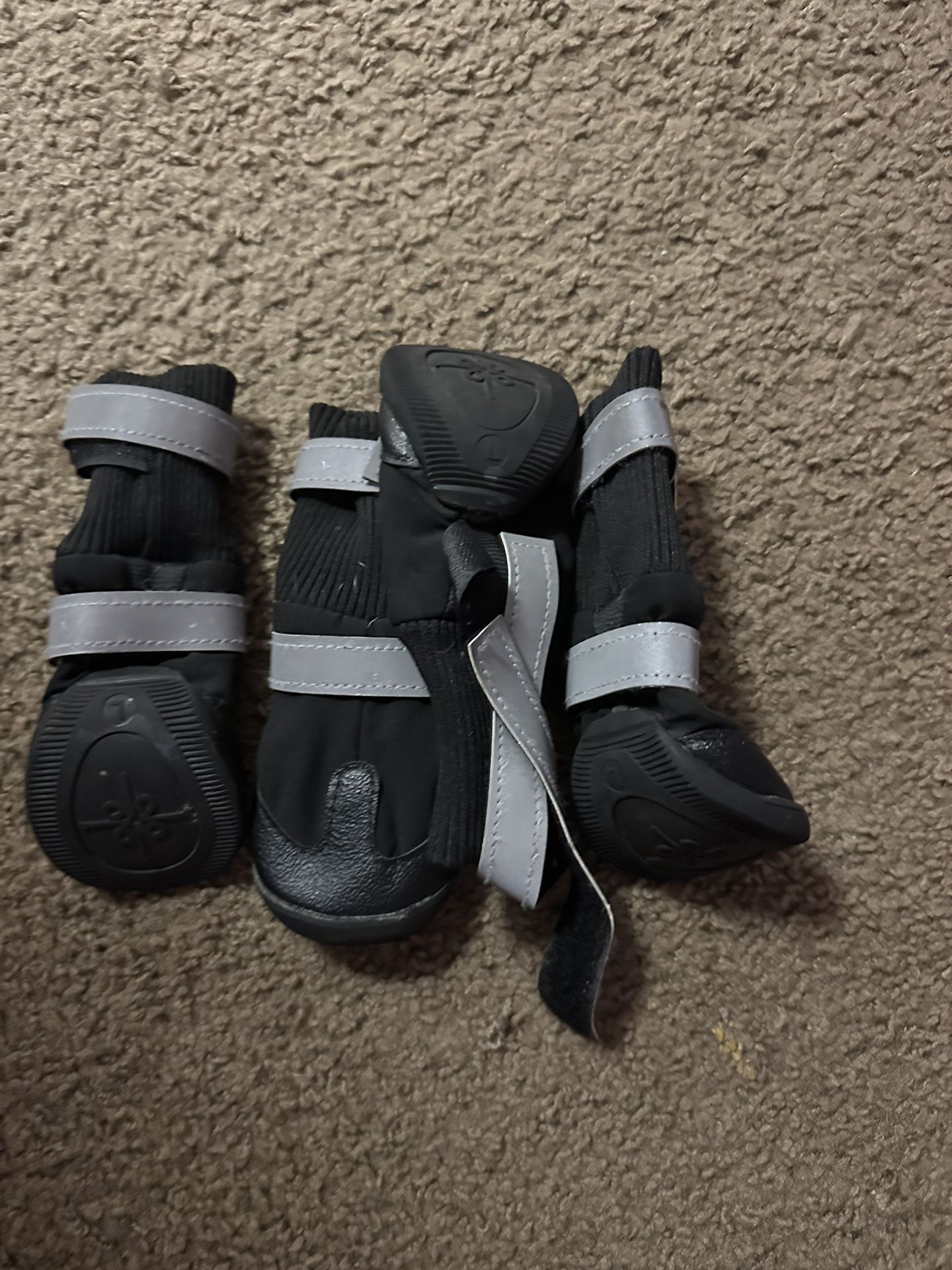 Dog Boot/shoe