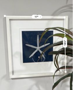 Framed Starfish Wall Art 17x16.5 Inch