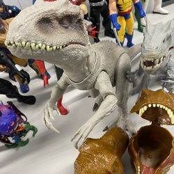 Rad Dinosaur Collection (must Have) 