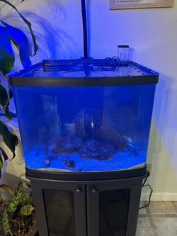30 gallon saltwater tank