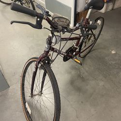 Murray 18 Speed Bicycle Needs A Back Tire $65