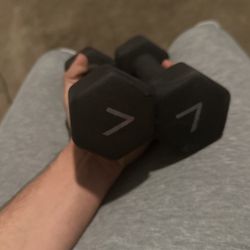 Two 7 Pounds Dumbbells 