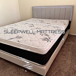 New Queen Bee Frame With Matress 