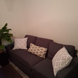 Dark gray coach (free)