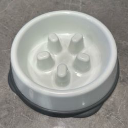 Slow Feeder Dog Bowl