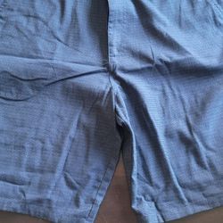 Hang Ten Blue Mens Shorts Size 38