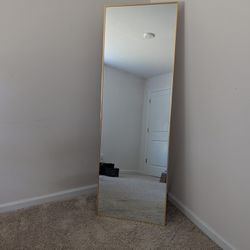 Rectangle Floor Mirror 64 " X 21.5"