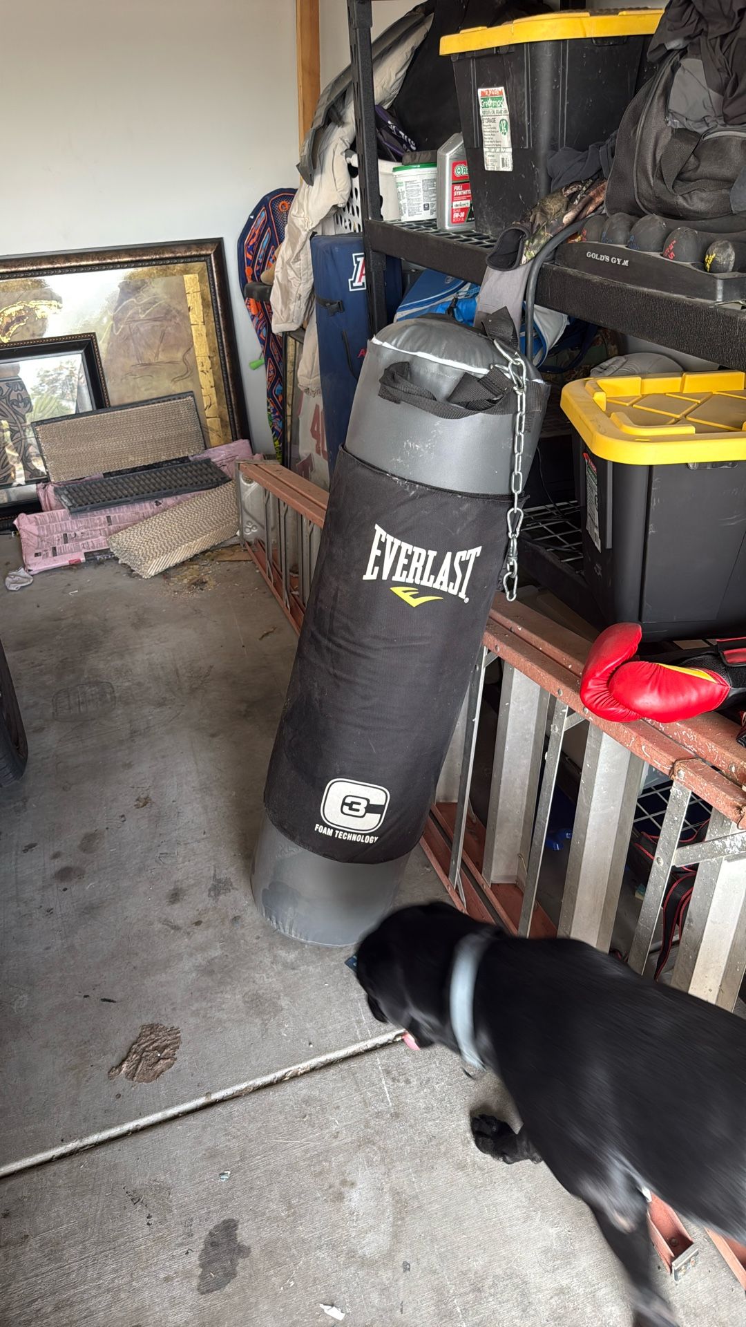 Everlast Boxing Bag