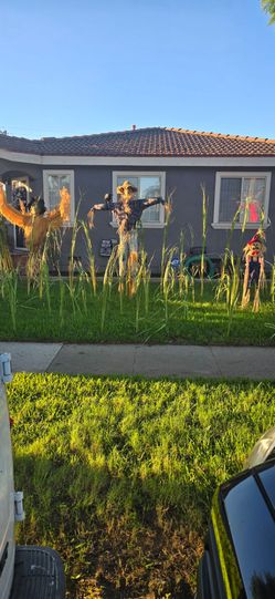 Fake corn stalks