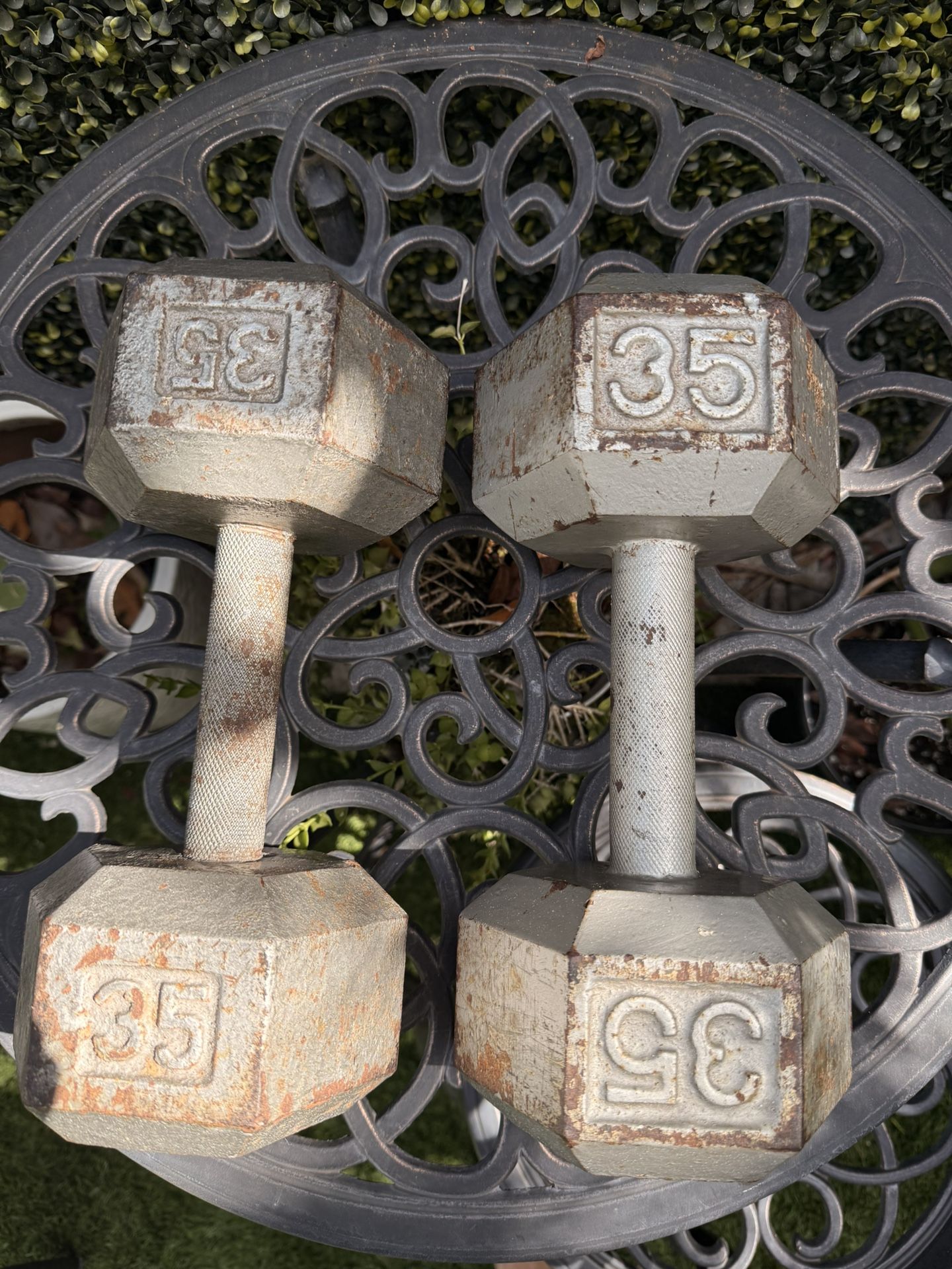 35 Lbs Steel Dumbbell