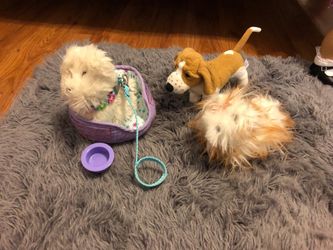 American Girl Dogs