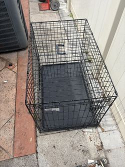 Dog Cage