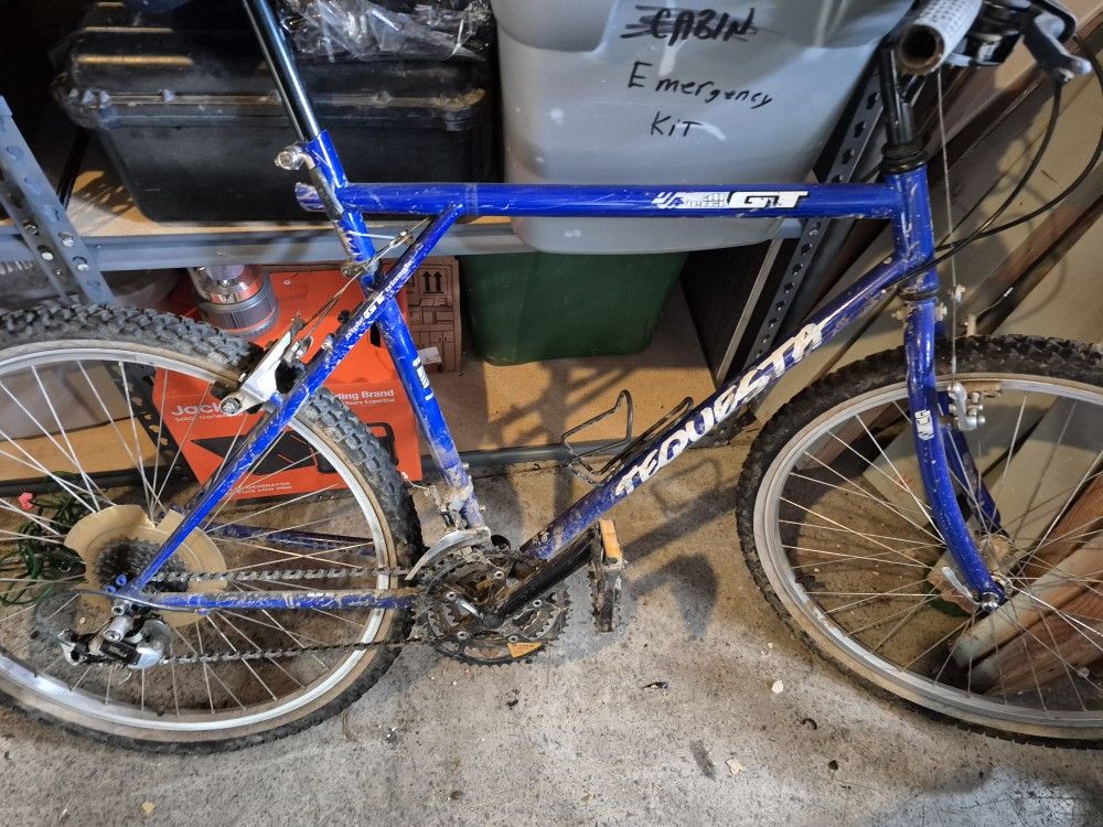Vintage GT Tequesta Moutain Bike