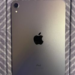 iPad Mini + Magnetic Case