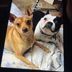 iPad Pro 5th Gen 