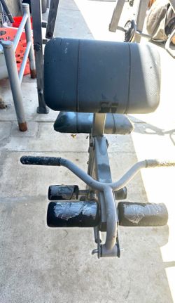 Bench with  1,     Olympic bars 1 Curb bar  $50