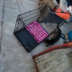 Medium Sized Dog Crate