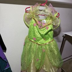 Disney Store Tinkerbell Costume Princess Dress