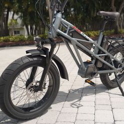 Electric Bike