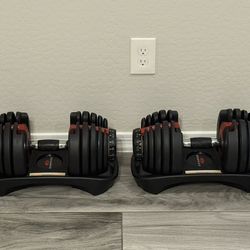 Bowflex Dumbells