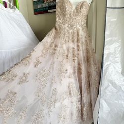 David’s Bridal