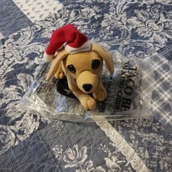 A Christmas Taco Bell Dog