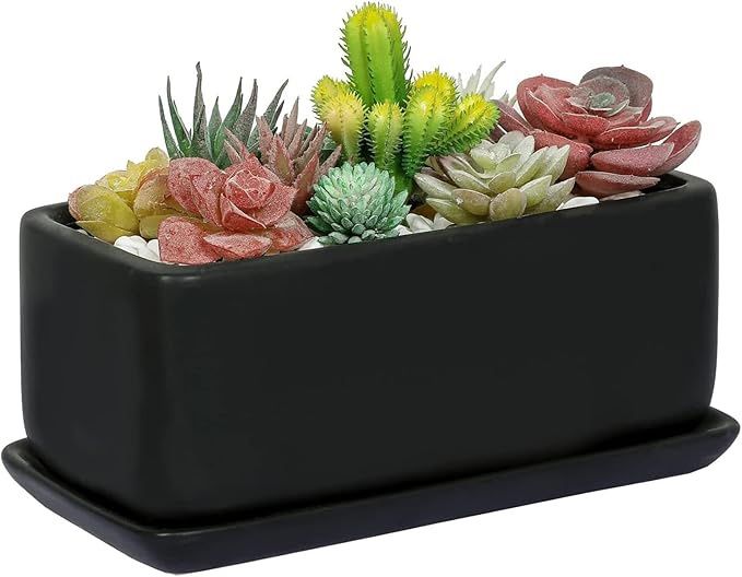 10” Matte Black Succulent Planter W/drainage Tray. Great Starter Planter For Succulents!(plants Not Included)