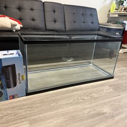 35 Gallon Fish  Tank + Bran New 60 Gallon Filter Whisper IQ  (Need gone asap)
