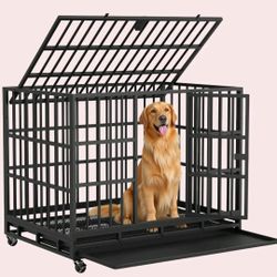 New Dog Kennel In BOX