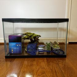 Starter Pack Fish Tank - Everything you need for $150