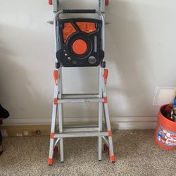 Little Giant Ladder 