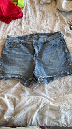 Torrid Shorts