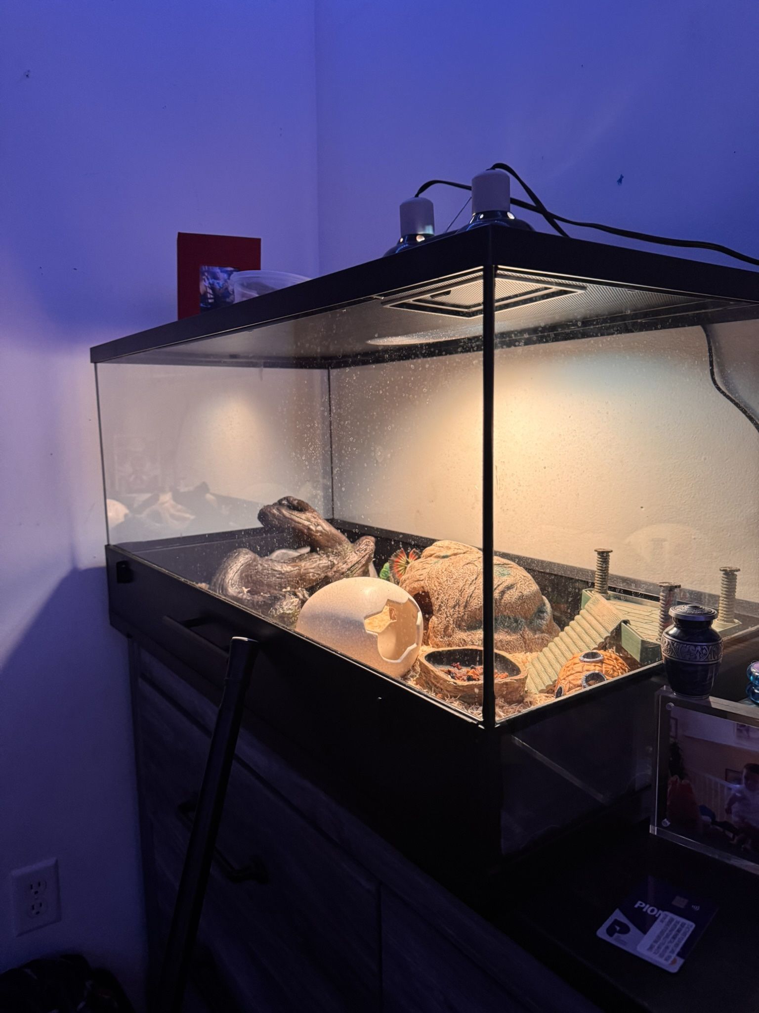 20 Gallon Reptile Cage