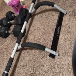 dumbbells and pull up bar