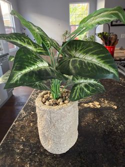 Imitation Potted Plant with light weight “stone” pot