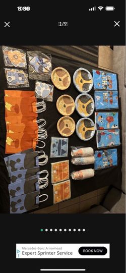 Bluey party supplies