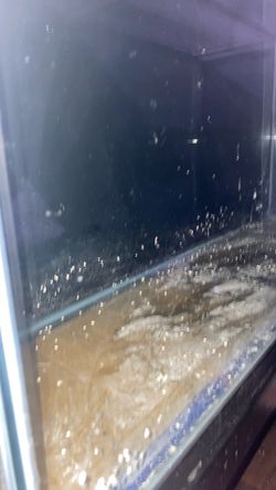 55 gallon tank w/ Stand