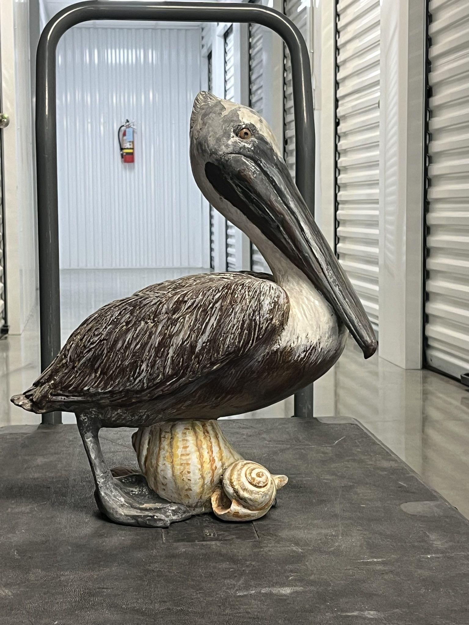Pelican