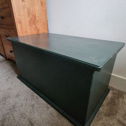 Chest