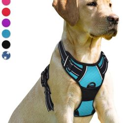 BARKBAY No Pull Dog Harness Front Clip Heavy Duty Reflective Easy Control Handle for Large Dog Walking(Blue,M)

 

 

 

 
