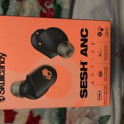 Skullcandy Earbuds